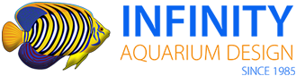 Aquarium Maintenance Las Vegas | Infinity Aquarium
