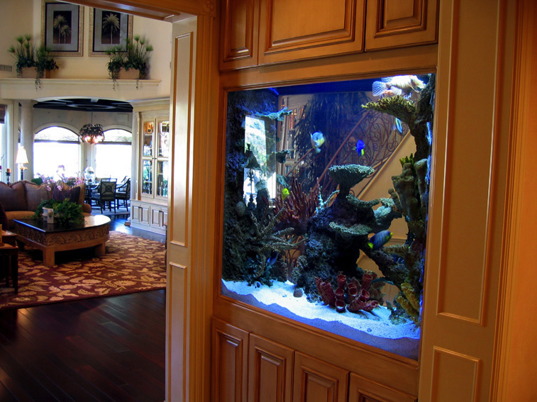 400 Gallon Marine Aquarium Room Divider with Faux Reef